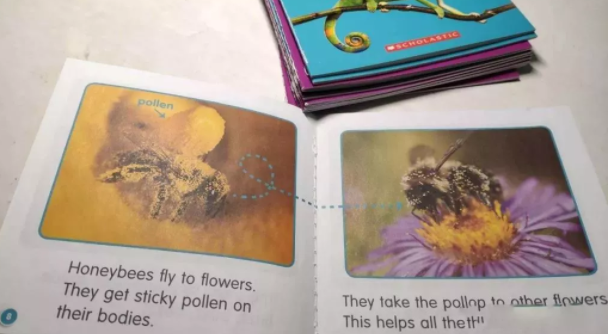 不同年齡段如何做英語(yǔ)分級(jí)閱讀？這份操作指南請(qǐng)收好，讓孩子少走彎路！